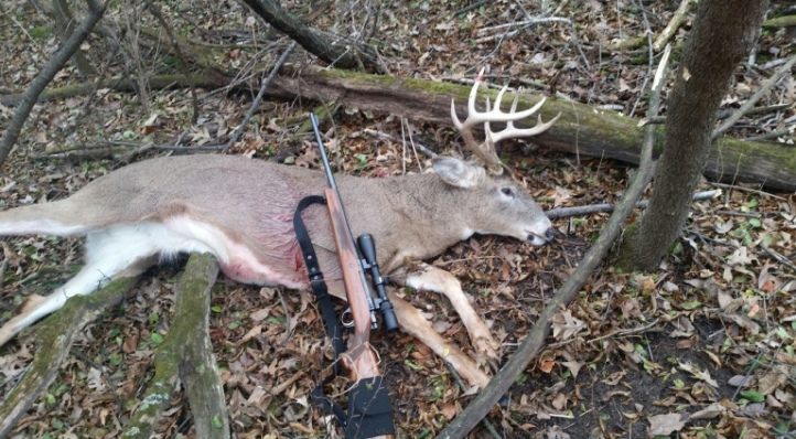 1976 L61R Sako Finbear, OEM stock was repaired after being broken.  Rifle was glass bedded and accurized.  9point buck taken on Sunday of Wisconsin 2016 Gun Deer season.  Approximately 175 gutted weight.